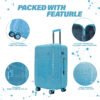 Spider | Proven American Traveller Gear That Fearless Adventurers Trust - Image 7