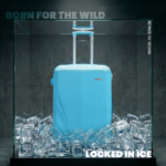 Blue Panther Suitcase by American Traveller Trolley Bag in India Inside Glass Box