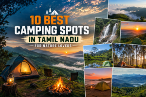 Scenic collage of top camping spots in Tamil Nadu, featuring lush hills, tents, and serene landscapes under vibrant skies.